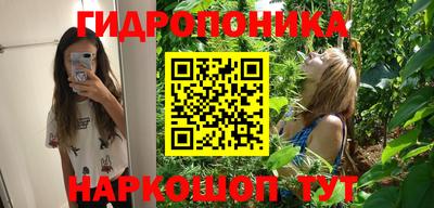 трава Новодвинск