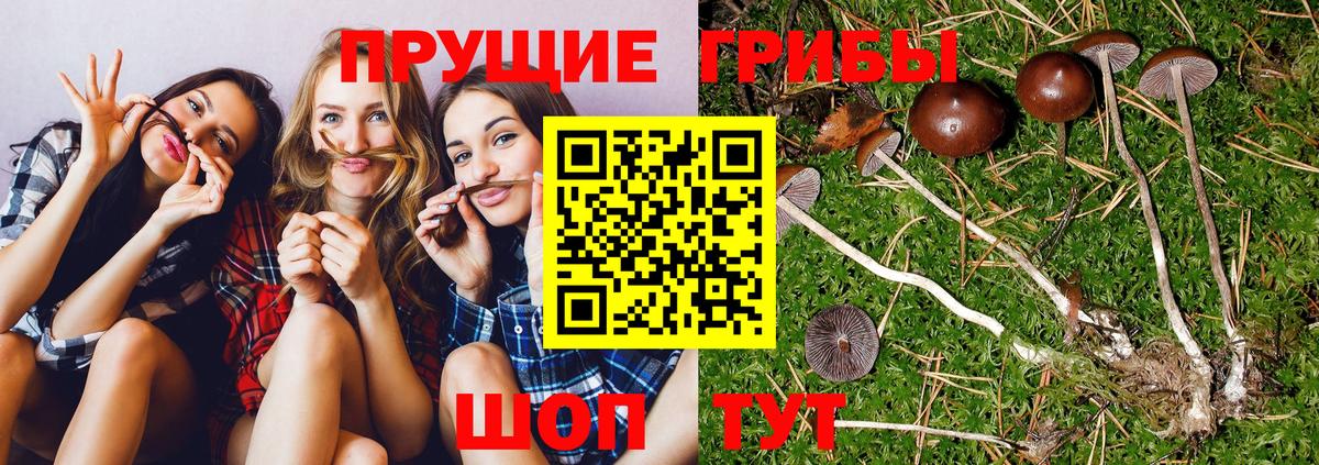 Октябрьский  Псилоцибиновые грибы MAGIC MUSHROOMS  Вход с VPN  где найти наркотики  Галлюциногенные грибы MAGIC MUSHROOMS 