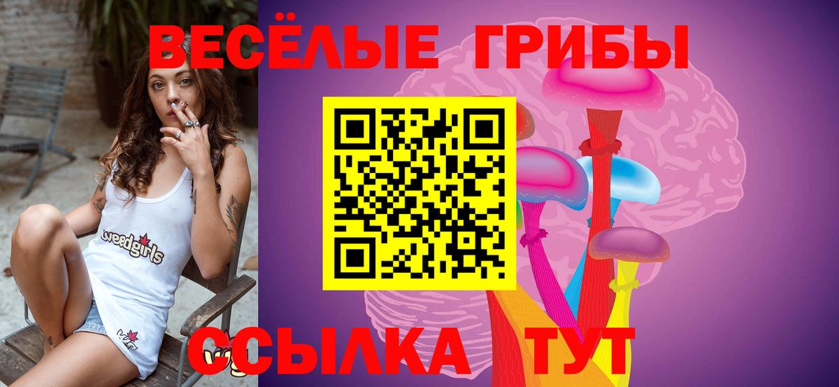 Псилоцибиновые грибы Psilocybe Октябрьский